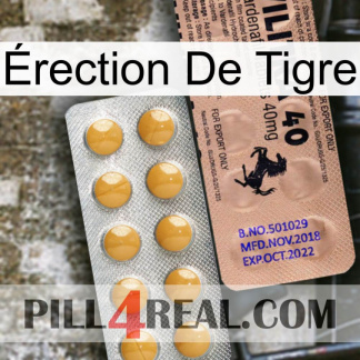 Érection De Tigre 41
